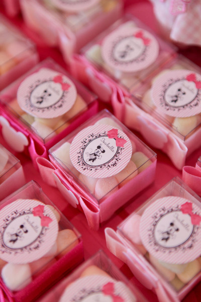 20130202_triciavieira_festaisabella__MG_0290