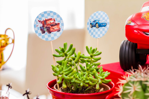 Festinha-Carros-Divina-Docaria-11