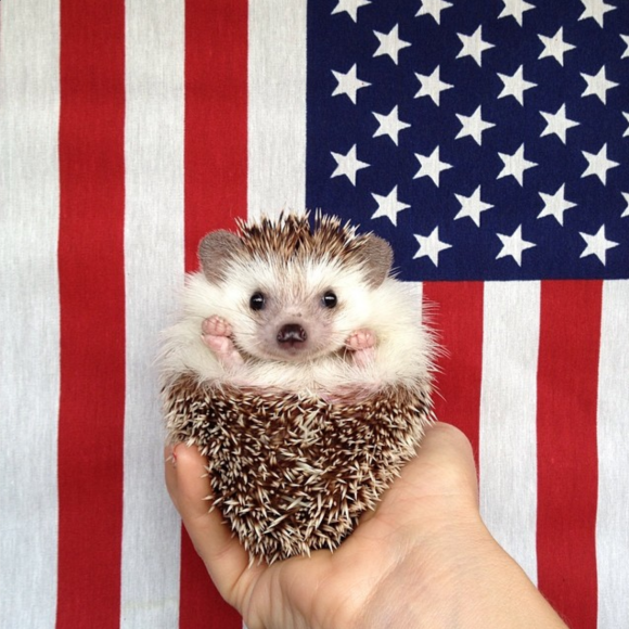 Captura de Tela 2014-07-07 às 07.41.57