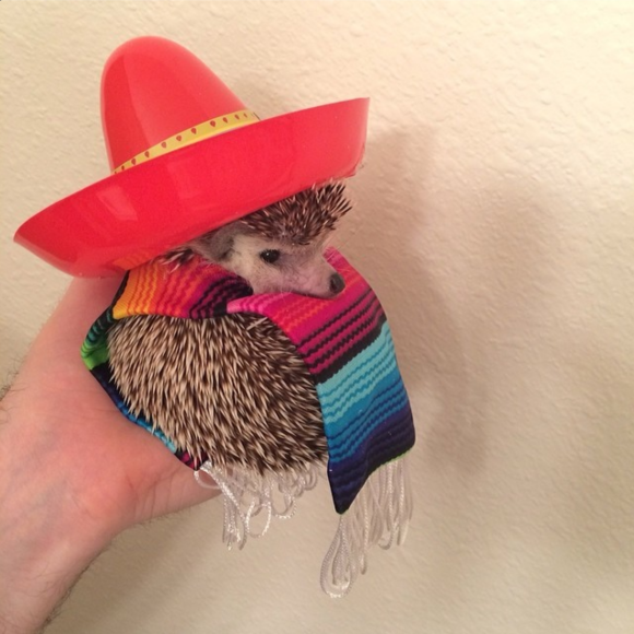 Captura de Tela 2014-07-07 às 07.52.45