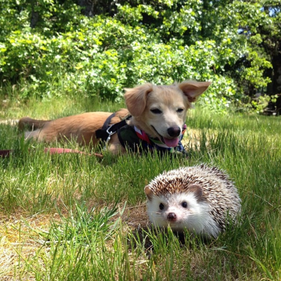 Captura de Tela 2014-07-07 às 07.53.24