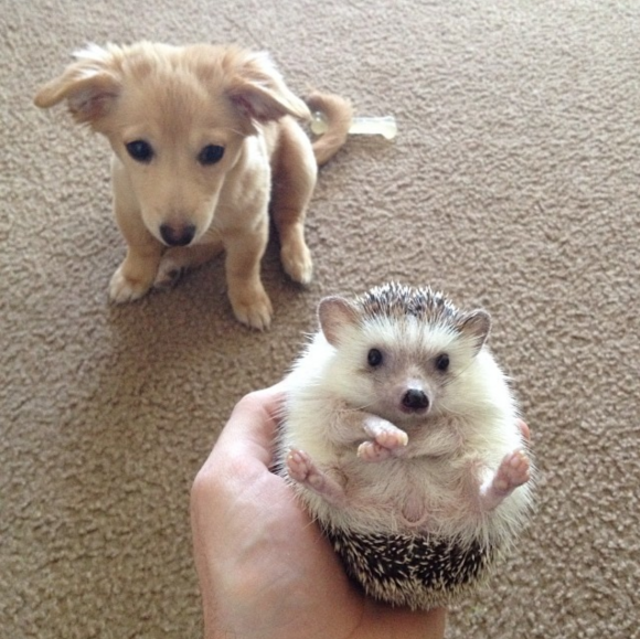 Captura de Tela 2014-07-07 às 07.54.01