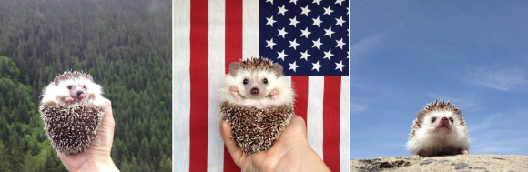 Captura de Tela 2014-07-07 às 07.56.48